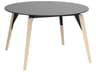 Faz Wood Round Plastic Dining Table
