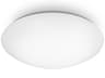 Glo 14 Inch LED Flush Mount Modern Dimmable Light