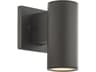 Cylinder 1-Light Outdoor Wall Light