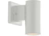 Cylinder 1-Light Outdoor Wall Light