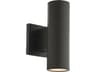Cylinder 2-Light Outdoor Wall Light
