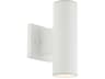 Cylinder 2-Light Outdoor Wall Light
