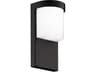 Midtown 1-Light Outdoor Wall Light