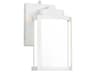 Lantern 1-Light Outdoor Wall Light