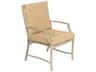 Seal Cove Aluminum Outdoor Dining Arm Chair with Back Cushion