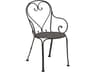 Parisienne Wrought Iron Pattern Seat Outdoor Dining Arm Chair