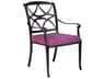 Wiltshire Cast Aluminum Patio Dining Arm Chair with Cushion