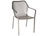 Delmar Wrought Iron Outdoor Dining Arm Chair with Cushion