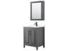 Daria 30" Dark Gray Vanity with Medicine Cabinet