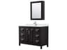 Daria 48" Dark Espresso Vanity with Medicine Cabinet