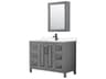 Daria 48" Dark Gray Vanity with Medicine Cabinet