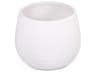 Distressed Matte White Vase
