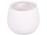 Distressed Matte White Vase