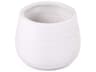 Distressed Matte White Vase