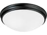 2-Light Matte Black Glass Bowl Flush Mount