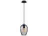 Newtown 1-Light Black Mini Pendant