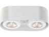 Nymark LED Flush Mount Ceiling Light Modern White
