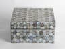 Mother Of Pearl Medium Storage Case