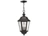 Edgewater Outdoor Hanging Light