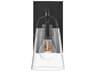 Foster 1-Light Black Glass Wall Sconce