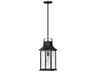Grant 1 Outdoor Hanging Light