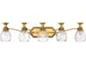 Plantation 5-Light Burnished Brass Glass Vanity Light
