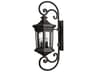 Raley Outdoor Wall Light