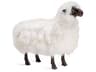 Phillippe Sheep Sculpture Ivory Accent