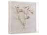 Silver Branches-I Shadow Box