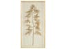 Golden Frond-I On Ivory Wall Art