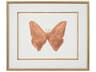 Shimmering Butterfly-VI Wall Art