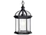 Barrie 1 - Light Glass Outdoor Hanging Light