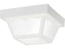 1 - Light Glass Outdoor Ceiling Light