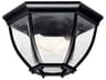 2 - Light Glass Outdoor Ceiling Light