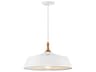 Danika 1-Light White Round Pendant