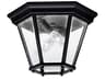 Madison 2 - Light Glass Outdoor Ceiling Light