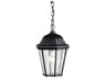 Madison 1 - Light Glass Outdoor Hanging Light