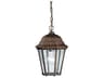 Madison 1 - Light Glass Outdoor Hanging Light