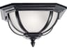 Salisbury 2 - Light Outdoor Ceiling Light