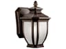 Salisbury 1-Light Outdoor Wall Light