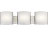 3-Light Brushed Nickel LED Vanity Light