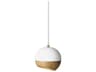 Ray White LED Round Mini Pendant