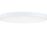 Trim 1-Light White LED Round Flush Mount