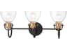 Monico 3-Light Painted Bronze Natural Brush Glass Vanity Light