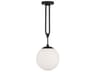 Becker 1-Light Matte Black Glass Globe Mini Pendant