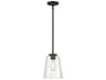 Calhoun 1-Light Matte Black Glass Bell Mini Pendant