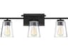 Calhoun 3-Light Black Glass Vanity Light