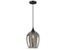 Meridian 1-Light Oil Rubbed Bronze Glass Bell Mini Pendant