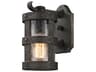 Barbosa Outdoor Wall Sconce in Aged Pewter