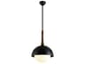 Cadet 1-Light Black Natural Acacia Brown Glass Globe Pendant